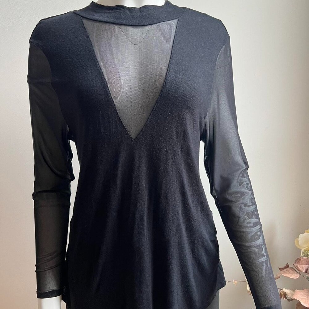Deep V-Neck Sheer Black Turtle Neck Top